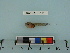  ( - BEAU2012-110)  @12 [ ] Copyright (2012) C. W. Mecklenburg Point Stephens Research