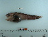  ( - BEAU2012-118)  @12 [ ] Copyright (2012) C. W. Mecklenburg Point Stephens Research