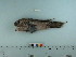  ( - BEAU2012-119)  @12 [ ] Copyright (2012) C. W. Mecklenburg Point Stephens Research