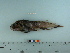  ( - BEAU2012-120)  @12 [ ] Copyright (2012) C. W. Mecklenburg Point Stephens Research