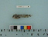  ( - BEAU2012-122)  @12 [ ] Copyright (2012) C. W. Mecklenburg Point Stephens Research
