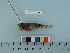  ( - BEAU2012-86)  @13 [ ] Copyright (2012) C. W. Mecklenburg Point Stephens Research