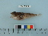  ( - BEAU2012-87)  @13 [ ] Copyright (2012) C. W. Mecklenburg Point Stephens Research