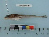  ( - BEAU2012-97)  @13 [ ] Copyright (2012) C. W. Mecklenburg Point Stephens Research