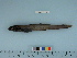  ( - BEAU2012-130)  @11 [ ] Copyright (2015) C. W. Mecklenburg Point Stephens Research