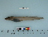  ( - BEAU2012-132)  @11 [ ] Copyright (2015) C. W. Mecklenburg Point Stephens Research