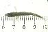  ( - INV0442)  @12 [ ] CreativeCommons - Attribution (2008) Unspecified Centre for Biodiversity Genomics