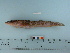  ( - PSRBC12-59)  @13 [ ] Copyright (2012) C. W. Mecklenburg Point Stephens Research