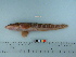  ( - PSRBC12-60)  @12 [ ] Copyright (2012) C. W. Mecklenburg Point Stephens Research