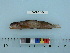  ( - PSRBC12-70)  @12 [ ] Copyright (2012) C. W. Mecklenburg Point Stephens Research