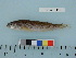  ( - PSRBC12-13)  @12 [ ] Copyright (2012) C. W. Mecklenburg Point Stephens Research