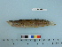  ( - PSRBC12-15)  @12 [ ] Copyright (2012) C. W. Mecklenburg Point Stephens Research