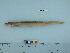  ( - PSRBC12-20)  @12 [ ] Copyright (2012) C. W. Mecklenburg Point Stephens Research