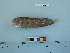  ( - PSRBC12-24)  @13 [ ] Copyright (2012) C. W. Mecklenburg Point Stephens Research