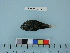  ( - PSRBC12-42)  @12 [ ] Copyright (2012) C. W. Mecklenburg Point Stephens Research