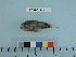  ( - PSRBC12-46)  @12 [ ] Copyright (2012) C. W. Mecklenburg Point Stephens Research