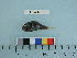  ( - PSRBC12-47)  @13 [ ] Copyright (2012) C. W. Mecklenburg Point Stephens Research