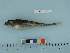  ( - BEAU2011-124a)  @13 [ ] Copyright (2012) C. W. Mecklenburg Point Stephens Research