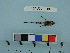  ( - BEAU2011-133a)  @13 [ ] Copyright (2012) C. W. Mecklenburg Point Stephens Research