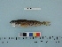  ( - PSRBC12-02)  @13 [ ] Copyright (2012) C. W. Mecklenburg Point Stephens Research