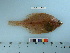  ( - RUSALCA12-25)  @13 [ ] Copyright (2012) C. W. Mecklenburg Point Stephens Research