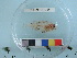  ( - RUSALCA12-26)  @13 [ ] Copyright (2012) C. W. Mecklenburg Point Stephens Research