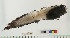  ( - TUNUVI-17)  @12 [ ] Copyright (2015) A. Lynghammar University of Tromso