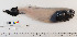  ( - TUNUVI-20)  @11 [ ] Copyright (2015) A. Lynghammar University of Tromso