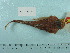  ( - UW112510)  @12 [ ] Copyright (2015) C. W. Mecklenburg Point Stephens Research