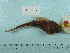  ( - UW112512)  @11 [ ] Copyright (2015) C. W. Mecklenburg Point Stephens Research