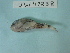  ( - UW117238)  @12 [ ] Copyright (2013) C. W. Mecklenburg Point Stephens Research