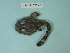  ( - UW119790)  @12 [ ] Copyright (2013) C. W. Mecklenburg Point Stephens Research