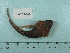  ( - UW150024)  @11 [ ] Copyright (2015) C. W. Mecklenburg Point Stephens Research