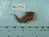  ( - UW150025)  @11 [ ] Copyright (2015) C. W. Mecklenburg Point Stephens Research