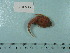  ( - UW150026)  @11 [ ] Copyright (2015) C. W. Mecklenburg Point Stephens Research