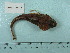  ( - UW150029)  @11 [ ] Copyright (2015) C. W. Mecklenburg Point Stephens Research