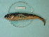  ( - UW150257)  @12 [ ] Copyright (2013) C. W. Mecklenburg Point Stephens Research