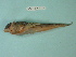  ( - UW150320)  @11 [ ] Copyright (2013) C. W. Mecklenburg Point Stephens Research