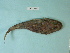  ( - UW151064)  @12 [ ] Copyright (2013) C. W. Mecklenburg Point Stephens Research