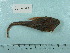  ( - UW151283)  @11 [ ] Copyright (2015) C. W. Mecklenburg Point Stephens Research