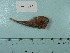  ( - UW151334)  @11 [ ] Copyright (2015) C. W. Mecklenburg Point Stephens Research