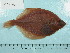  ( - UW151438)  @13 [ ] Copyright (2015) C. W. Mecklenburg Point Stephens Research