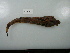  ( - UW153548)  @12 [ ] Copyright (2015) C. W. Mecklenburg Point Stephens Research