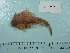  ( - UW154619)  @11 [ ] Copyright (2015) C. W. Mecklenburg Point Stephens Research