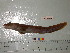  ( - Vp2013-68)  @11 [ ] Copyright (2013) C. W. Mecklenburg Point Stephens Research