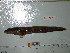  ( - Vp2013-76)  @12 [ ] Copyright (2013) C. W. Mecklenburg Point Stephens Research