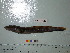  ( - Vp2013-77)  @12 [ ] Copyright (2013) C. W. Mecklenburg Point Stephens Research