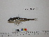  ( - Vp2013-90)  @14 [ ] Copyright (2013) C. W. Mecklenburg Point Stephens Research