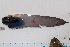 ( - AL-EX19)  @12 [ ] Copyright (2010) Arve Lynghammar University of Tromso, Norway