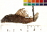  ( - OL-0343)  @14 [ ] CreativeCommons - Attribution (2010) Unspecified Centre for Biodiversity Genomics